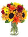 Bouquet solare