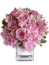 Composizione pink
