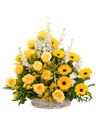 Composizione di fiori gialli