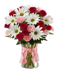 Bouquet di rose e margherite (o gerbere)